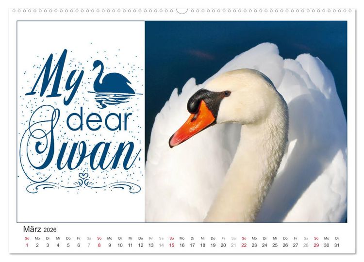 Produktbild: Tierisch Denglisch (Wandkalender 2026 DIN A2 quer), CALVENDO Monatskalender