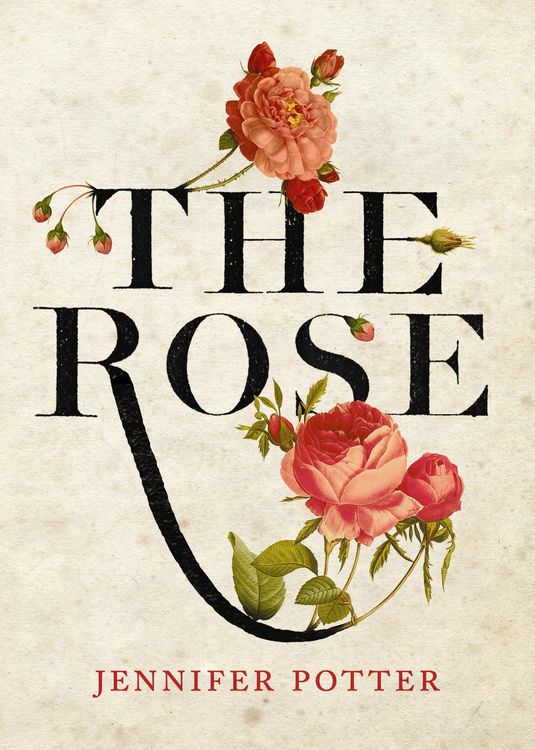 Produktbild: Potter, J: Rose