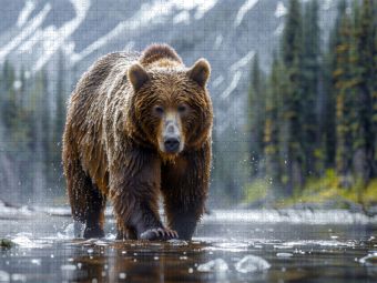 Produktbild: CALVENDO Puzzle Auf Futtersuche | 1000 Teile Lege-Gr&ouml;&szlig;e 64x48cm Foto-Puzzle f&uuml;r gl&uuml;ckliche Stunden