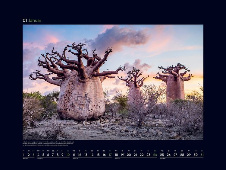 Produktbild: Alte B&auml;ume, Sinnbilder des Lebens - KUNTH Wandkalender 2027