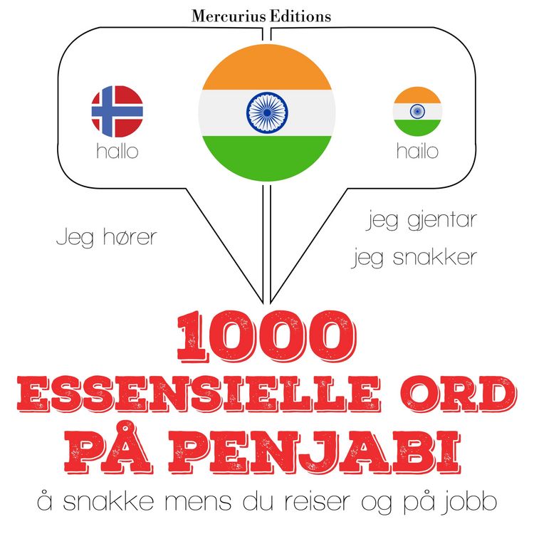 Produktbild: 1000 essensielle ord p&aring; Penjabi