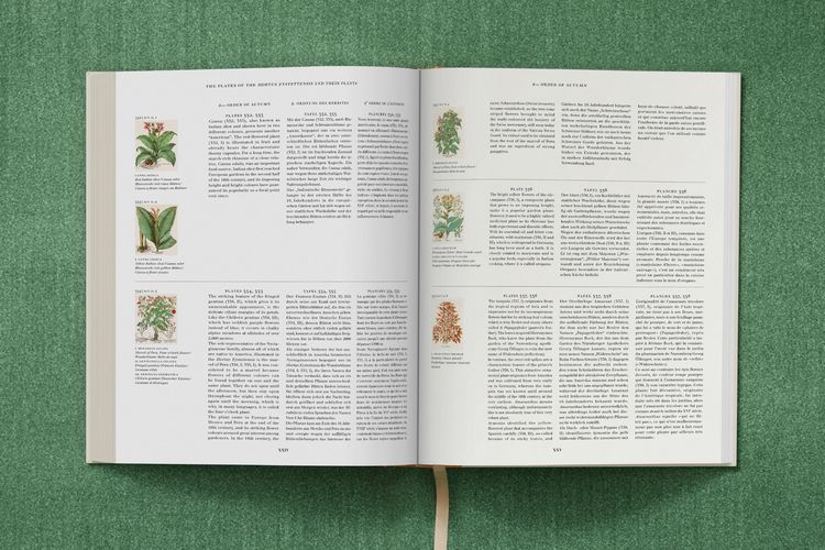 Produktbild: Basilius Besler. The Garden at Eichst&auml;tt