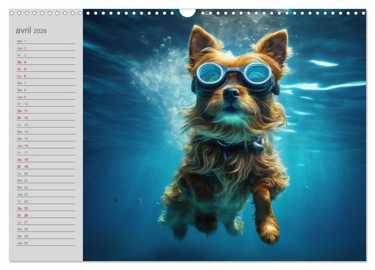 Produktbild: Chiens : les nageurs intr&eacute;pides (Calendrier mural 2026 DIN A3 vertical), CALVENDO calendrier mensuel
