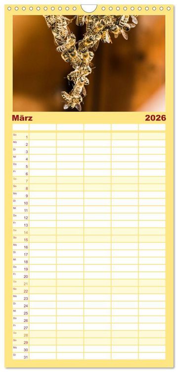 Produktbild: Familienplaner 2026 - Bienenkalender mit 5 Spalten (Wandkalender, 21 x 45 cm) CALVENDO