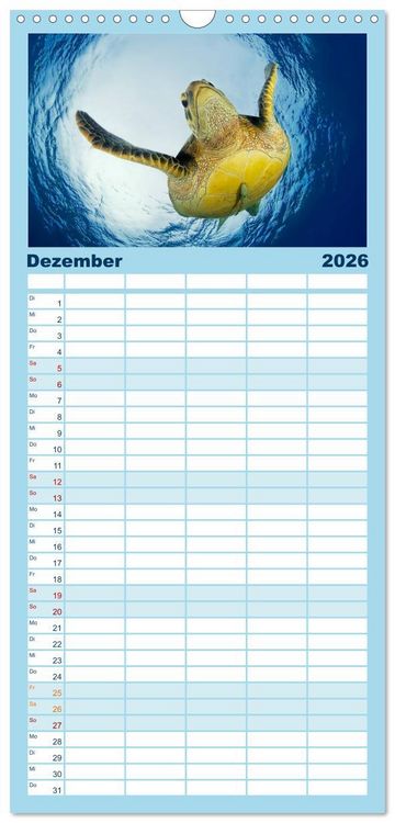 Produktbild: Familienplaner 2026 - Schildkr&ouml;ten des Ozeans mit 5 Spalten (Wandkalender, 21 x 45 cm) CALVENDO