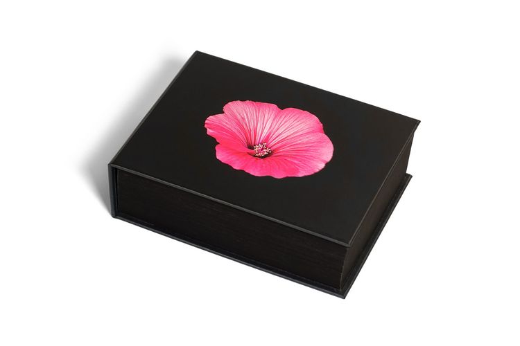 Produktbild: The Blooming Book