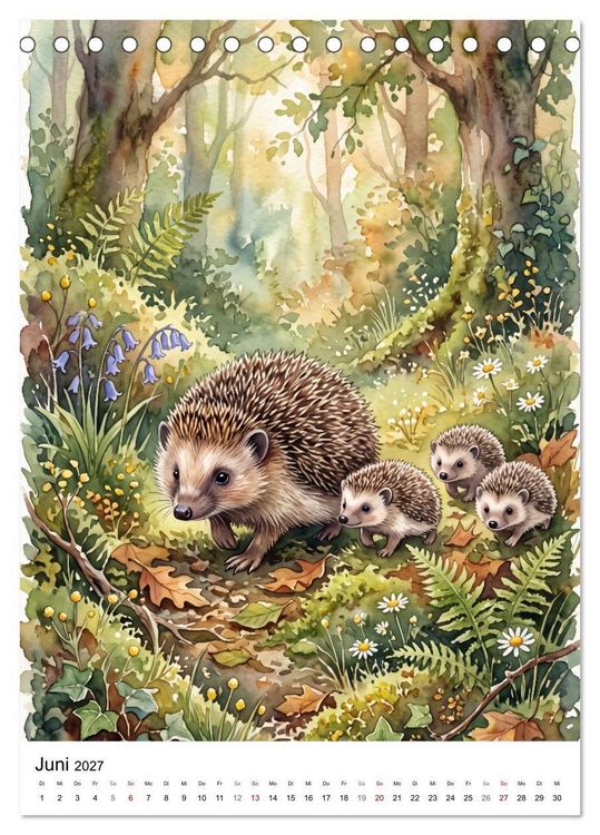 Produktbild: Begegnungen im Wald (Tischkalender 2027 DIN A5 hoch), CALVENDO Monatskalender