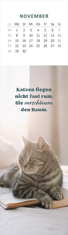 Produktbild: Lesezeichenkalender Katzengl&uuml;ck 2027