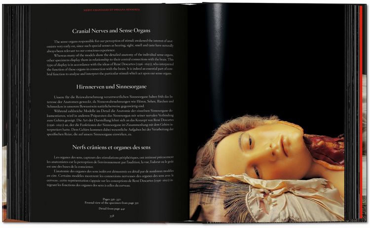 Produktbild: Anatomical Waxes. 45th Ed.