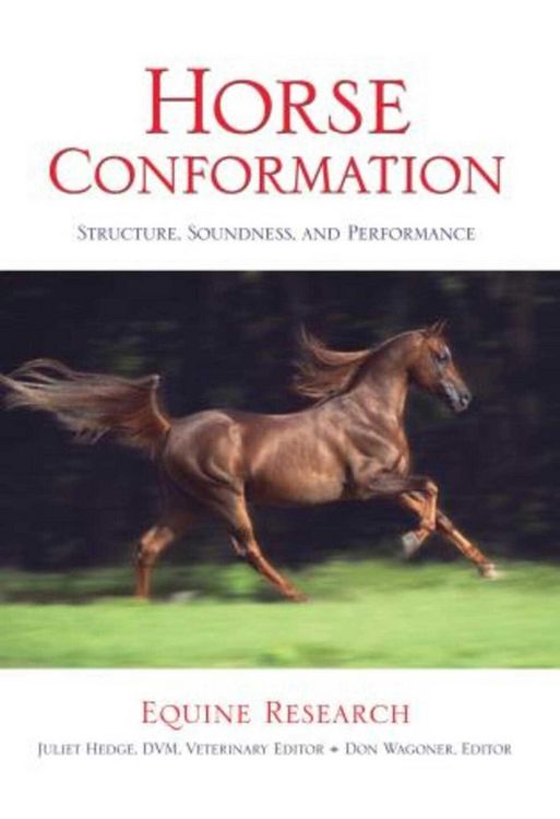Produktbild: Horse Conformation