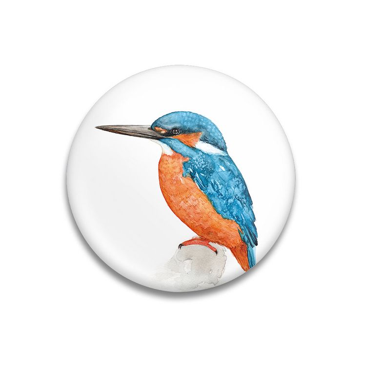 Produktbild: Dekomagnet Kingfisher