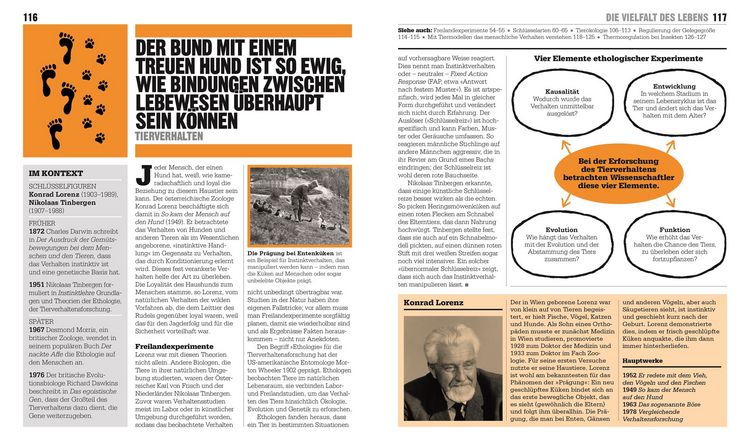 Produktbild: Big Ideas. Das &Ouml;kologie-Buch