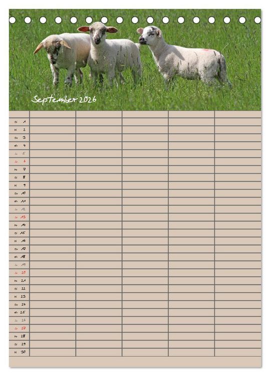 Produktbild: Der bel&auml;mmerte Familienplaner (Tischkalender 2026 DIN A5 hoch), CALVENDO Monatskalender