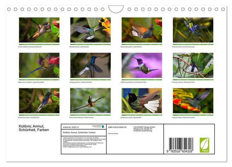 Produktbild: Kolibris; Anmut, Sch&ouml;nheit, Farben (Wandkalender 2026 DIN A4 quer), CALVENDO Monatskalender