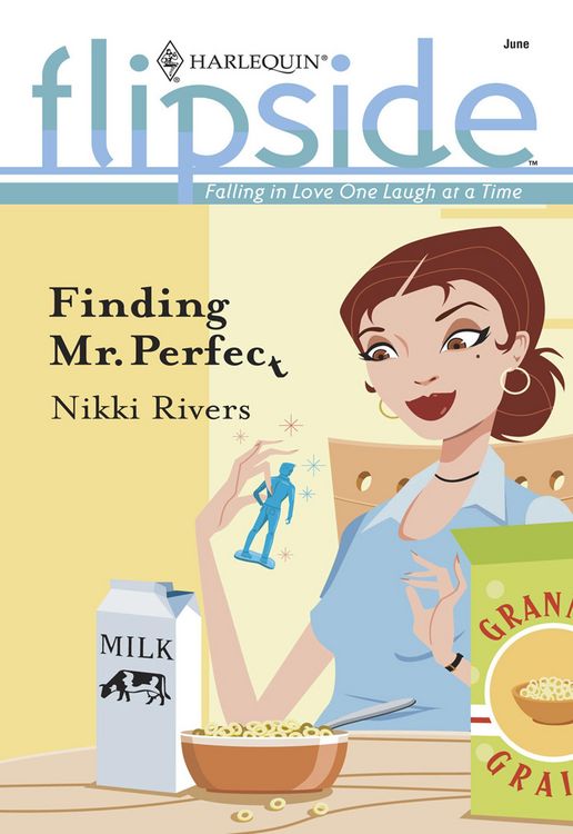 Produktbild: Finding Mr. Perfect