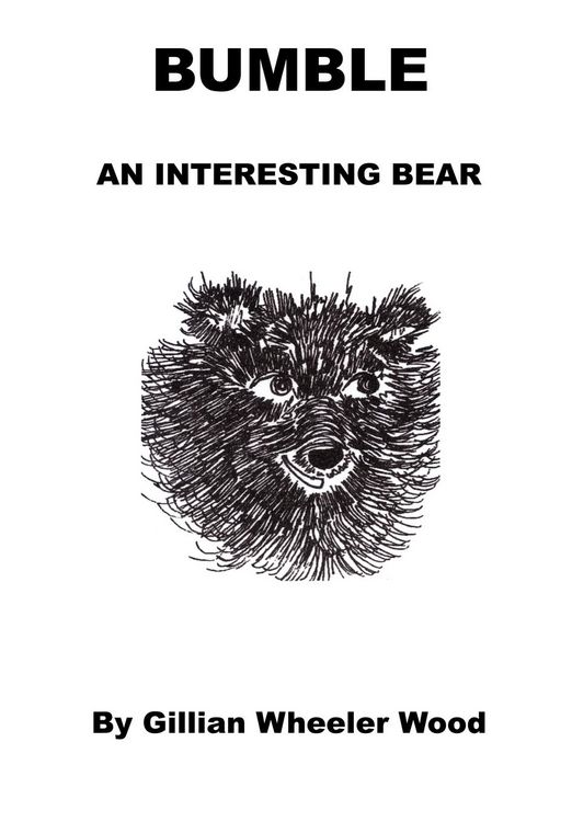 Produktbild: Bumble An Interesting Bear