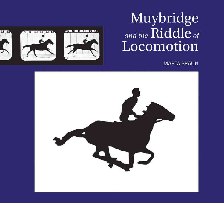 Produktbild: Muybridge and the Riddle of Locomotion