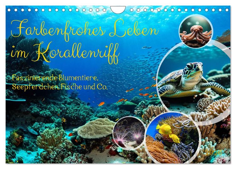 Produktbild: Farbenfrohes Leben im Korallenriff (Wandkalender 2026 DIN A4 quer), CALVENDO Monatskalender