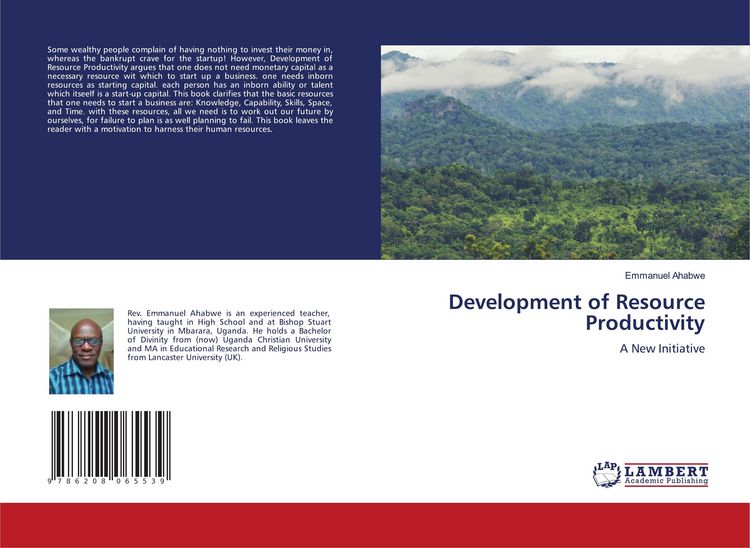 Produktbild: Development of Resource Productivity