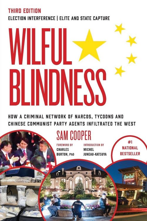 Produktbild: Wilful Blindness Election Interference | Elite and State Capture