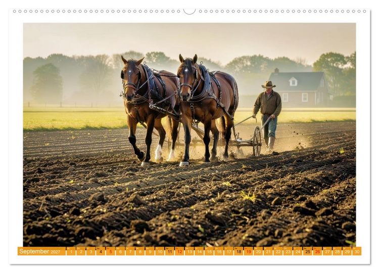 Produktbild: Arbeitspferde in Action (hochwertiger Premium Wandkalender 2027 DIN A2 quer), Kunstdruck in Hochglanz