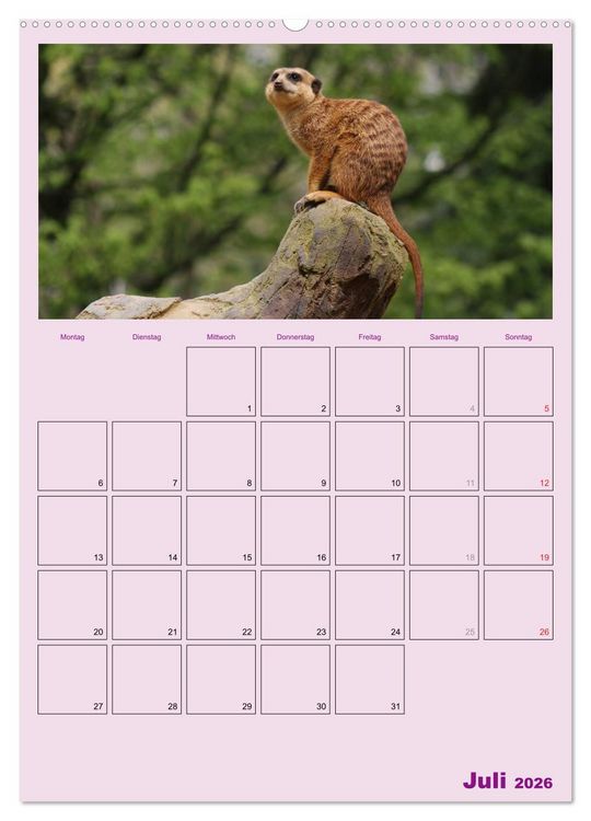 Produktbild: Erdm&auml;nnchen / Terminplaner (Wandkalender 2026 DIN A2 hoch), CALVENDO Monatskalender