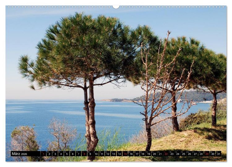 Produktbild: T&uuml;rkei - T&uuml;rkische &Auml;g&auml;is (Wandkalender 2026 DIN A2 quer), CALVENDO Monatskalender