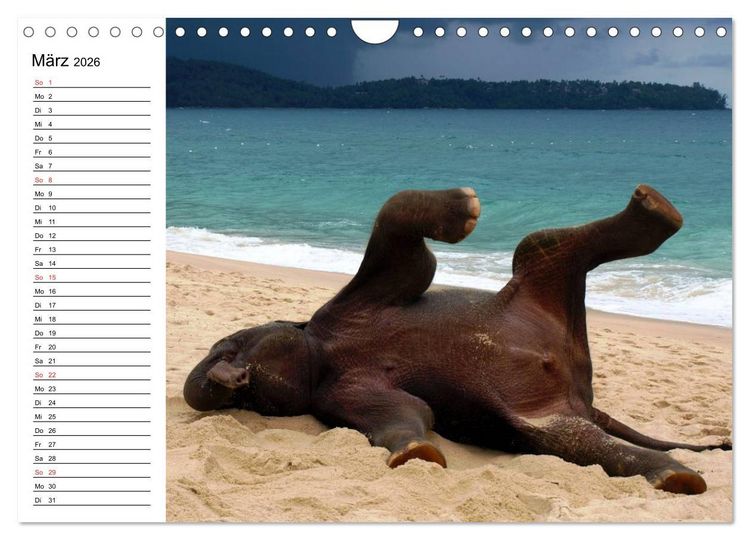 Produktbild: Elefanten - Wasserspa&szlig; am Strand (Wandkalender 2026 DIN A4 quer), CALVENDO Monatskalender