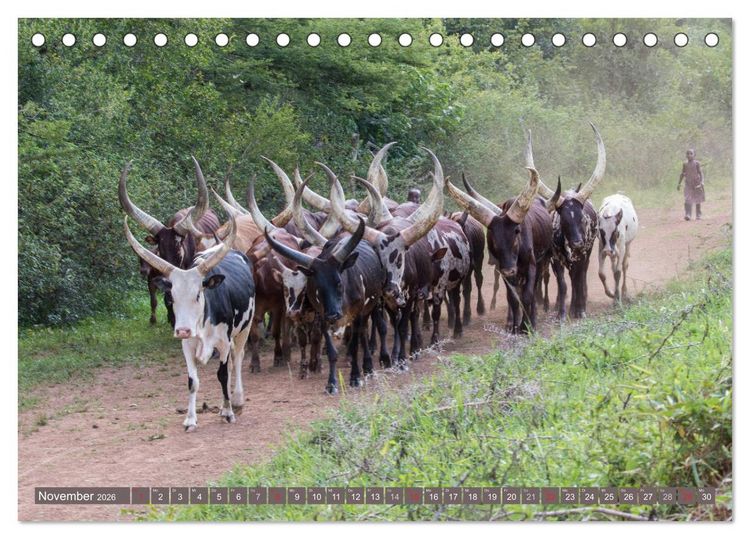 Produktbild: Geheimtipp Uganda (Tischkalender 2026 DIN A5 quer), CALVENDO Monatskalender