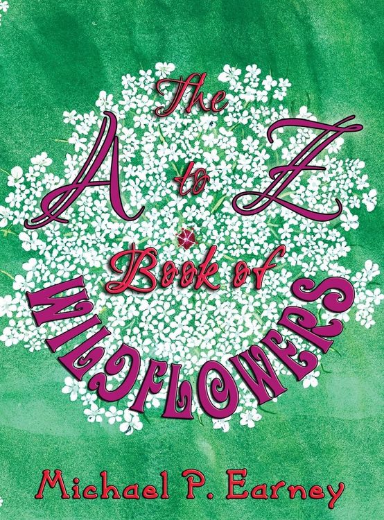 Produktbild: The A to Z Book of Wildflowers
