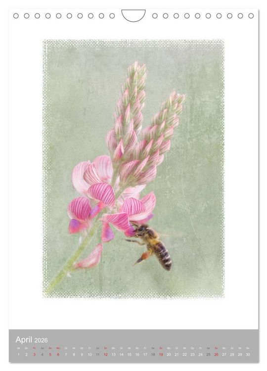 Produktbild: Kunstwerk Natur (Wandkalender 2026 DIN A4 hoch), CALVENDO Monatskalender