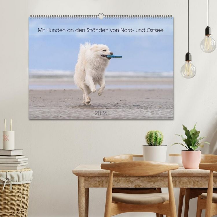 Produktbild: Mit Hunden an den Str&auml;nden von Nord- und Ostsee (Wandkalender 2026 DIN A2 quer), CALVENDO Monatskalender