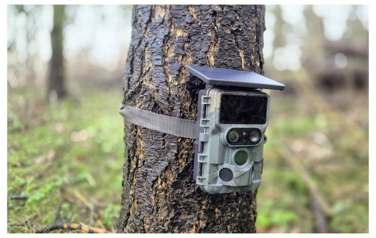 Produktbild: Braun Phototechnik Cam Black1321 Wildkamera WLAN Camouflage