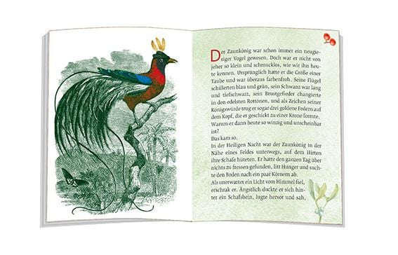 Produktbild: Das M&auml;rchen vom Zaunk&ouml;nig