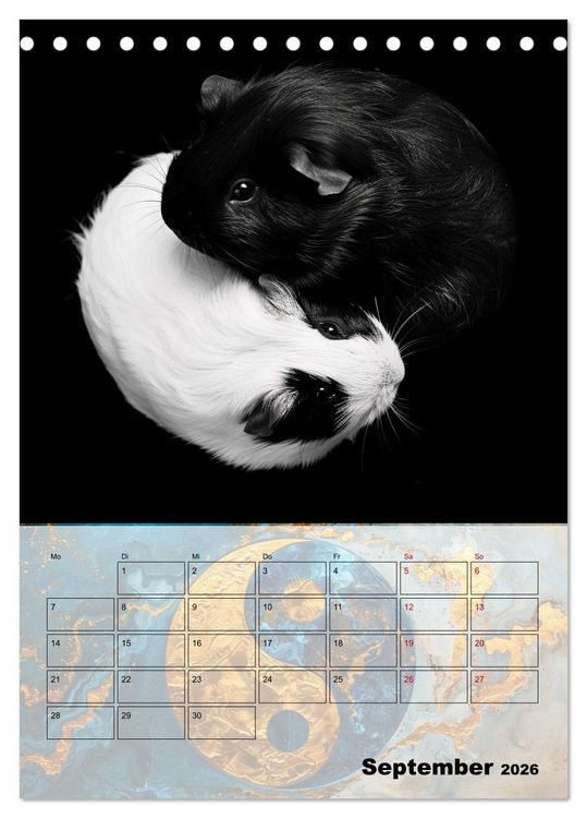 Produktbild: Sei das Yin zu meinem Yang (Tischkalender 2026 DIN A5 hoch), CALVENDO Monatskalender