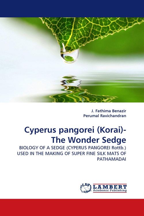 Produktbild: Cyperus pangorei (Korai)- The Wonder Sedge