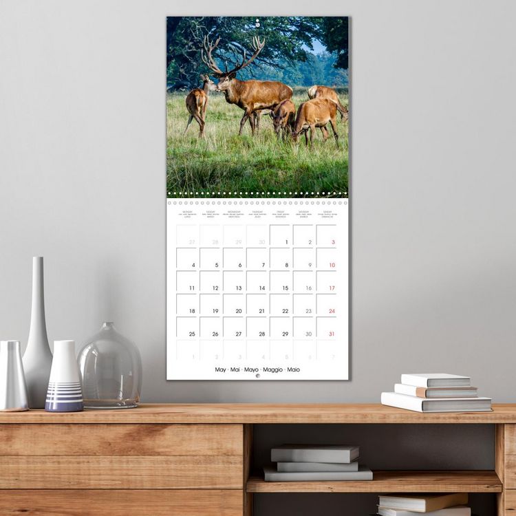 Produktbild: Aux bois des cerfs (Calendrier mural carr&eacute; 2026 30x30 cm) Calendrier double avec une page pour vos prises de notes