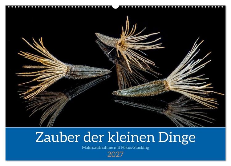 Produktbild: Zauber der kleinen Dinge (Wandkalender 2027 DIN A2 quer), CALVENDO Monatskalender