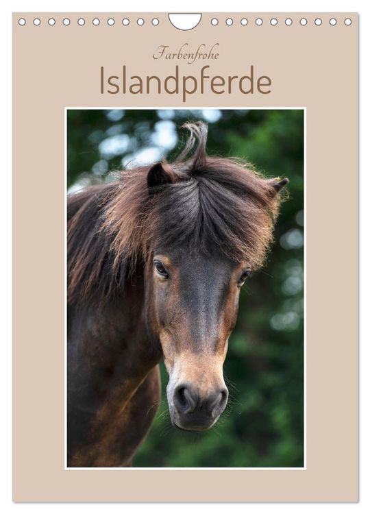Produktbild: Farbenfrohe Islandpferde (Wandkalender 2026 DIN A4 hoch), CALVENDO Monatskalender