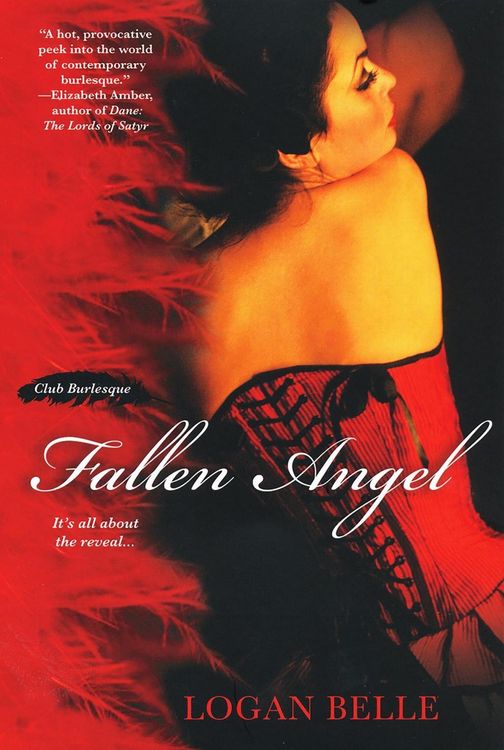 Produktbild: Fallen Angel