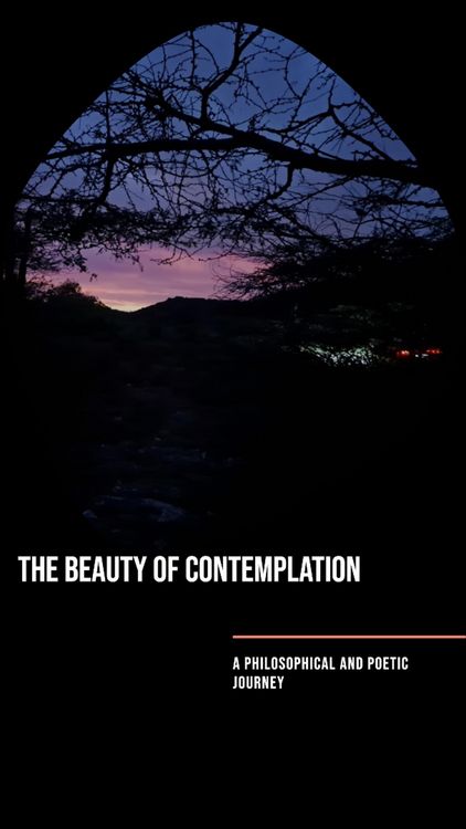 Produktbild: The Beauty of Contemplation