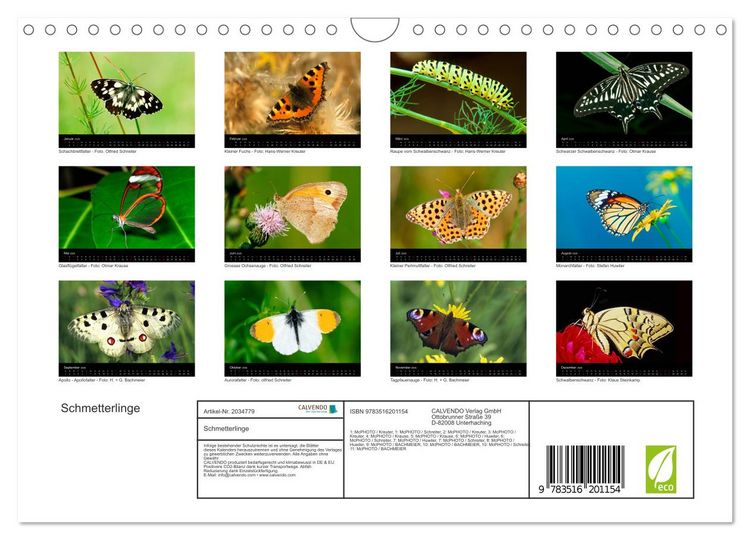 Produktbild: Schmetterlinge (Wandkalender 2026 DIN A4 quer), CALVENDO Monatskalender