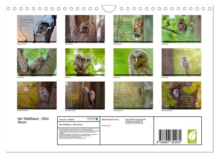 Produktbild: der Waldkauz - Strix Aluco (Wandkalender 2026 DIN A4 quer), CALVENDO Monatskalender