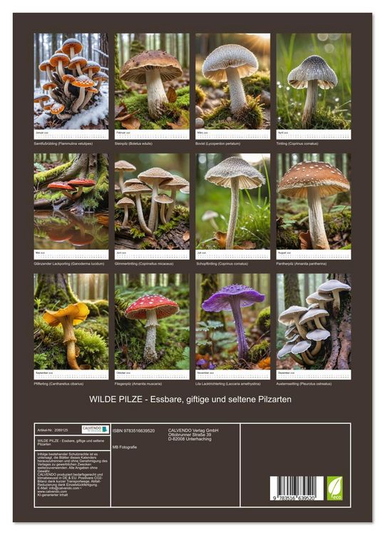 Produktbild: WILDE PILZE - Essbare, giftige und seltene Pilzarten (Wandkalender 2026 DIN A3 hoch), CALVENDO Monatskalender