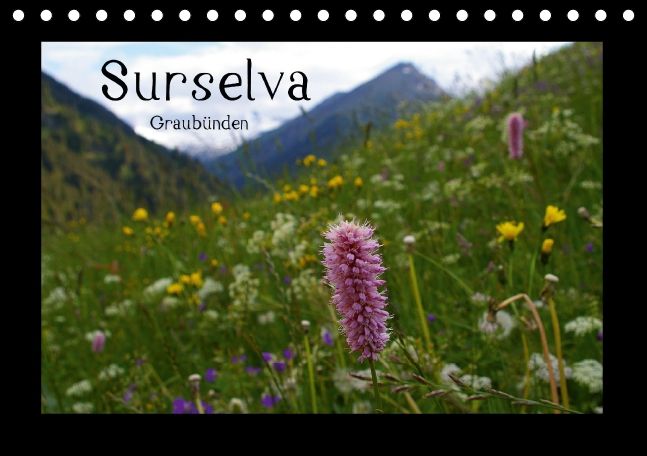Produktbild: Surselva - Graub&uuml;nden (Tischkalender immerw&auml;hrend DIN A5 quer)