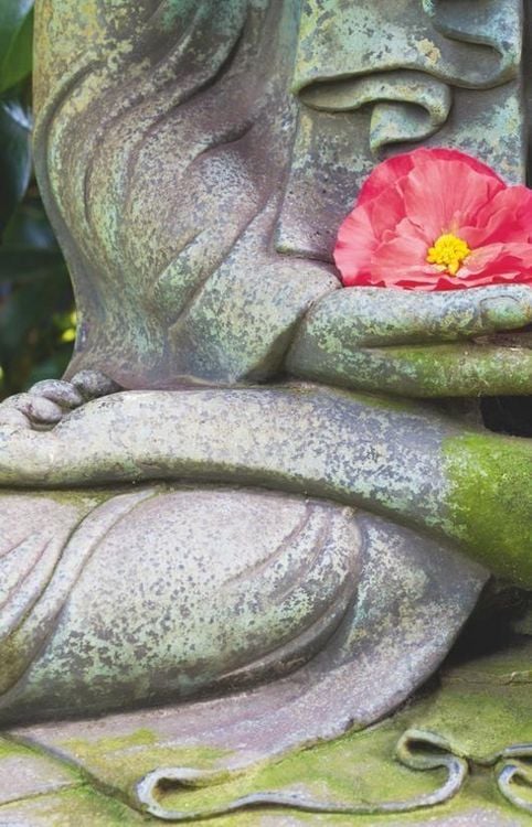 Produktbild: Der kleine Alltagsbuddhist