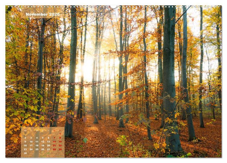 Produktbild: Ein Jahr Niederrhein Momente der Natur (Wandkalender 2026 DIN A2 quer), CALVENDO Monatskalender