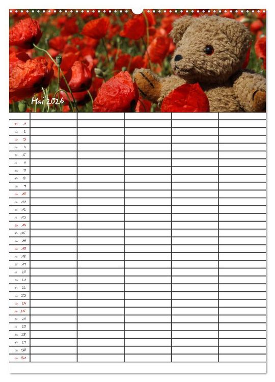 Produktbild: Der Teddyb&auml;ren-Familienplaner (Wandkalender 2026 DIN A2 hoch), CALVENDO Monatskalender