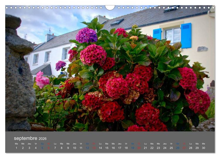 Produktbild: COULEURS d'OUESSANT (Calendrier mural 2026 DIN A3 vertical), CALVENDO calendrier mensuel