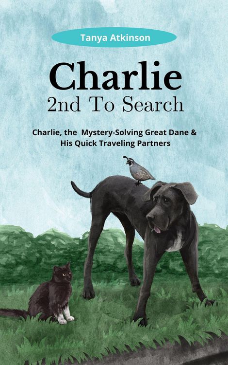 Produktbild: Charlie 2nd To Search